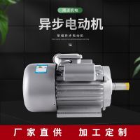Y100系列 2極 4極單相異步電動(dòng)機(jī) 220V 3kw臥式異步電機(jī)