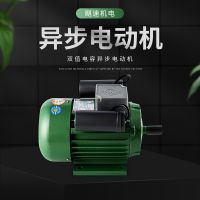 銅線電機(jī)可定制Y80系列電動(dòng)機(jī)隔爆型異步電動(dòng)機(jī)220V50HZ