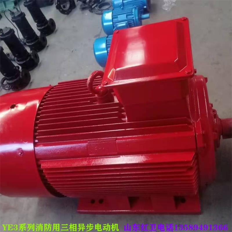 山東廠家直供 YE3-315L1-2/160KW 消防用 YE3系列三相異步電動機(jī)