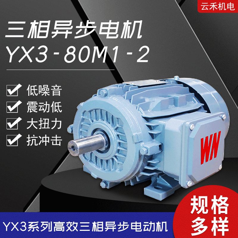 皖南電機(jī)全系列 YX3-80M1-2 三相異步電機(jī) 皖南防爆電機(jī)變頻電機(jī)