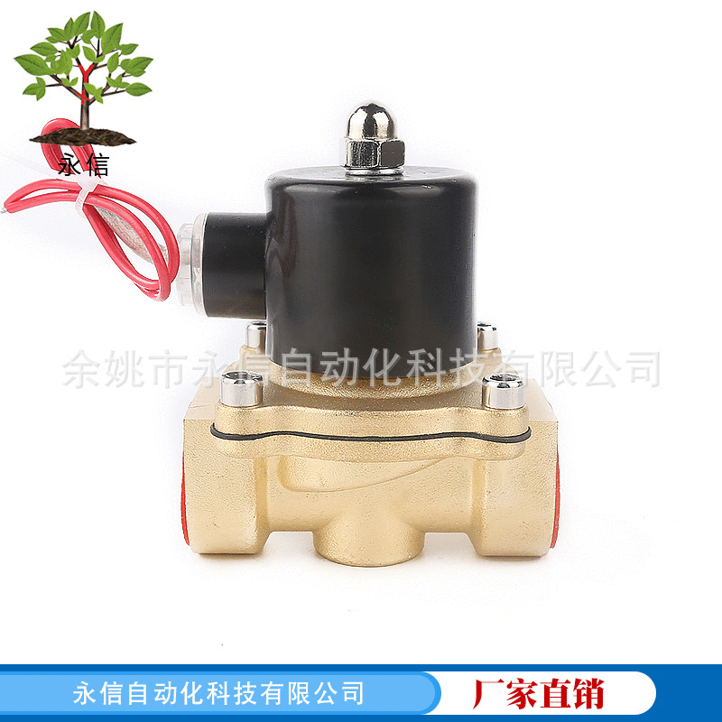 不銹鋼黃銅1寸電磁閥 小口徑內(nèi)螺紋連接二通式水用電磁閥水閥