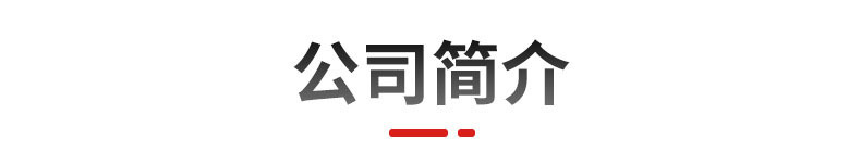 公司團(tuán)隊(duì)2