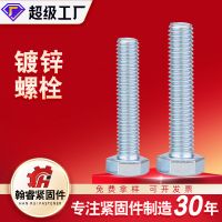 廠家現(xiàn)貨 高強(qiáng)度六角螺栓 鍍鋅六角螺絲 鍍鋅螺栓