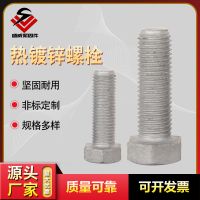廠家供應(yīng)熱鍍鋅螺栓外六角熱浸鋅螺絲碳鋼電力螺栓光伏螺絲