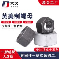 供應(yīng)英美制螺母 鎖緊防松螺母 英制美制高強(qiáng)度螺母螺帽