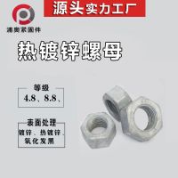 廠家現(xiàn)貨出口品質(zhì)熱鍍鋅外六角螺母 高強(qiáng)度6170熱浸鋅螺栓螺帽