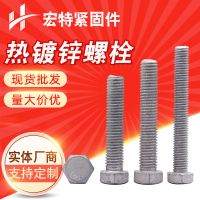 現(xiàn)貨熱鍍鋅螺栓8.8級(jí)外六角螺栓全半牙鍍鋅螺絲鍍鋅加長螺栓螺母
