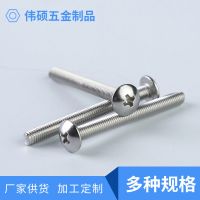 廠家供應不銹鋼十字平頭螺絲 十字倒邊螺絲釘歡迎進店咨詢批發(fā)價