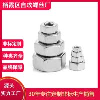 不銹鋼外六角螺母 螺紋深邃 弧度光滑 可定制加工 經(jīng)久耐用