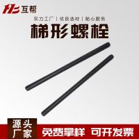 廠家供應(yīng)T型扣絲杠 梯形扣螺絲 梯形扣絲桿 T型扣螺