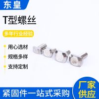 廠家供應GB37304不銹鋼T型螺栓 M5/M6/M8/M10槽用T型螺絲