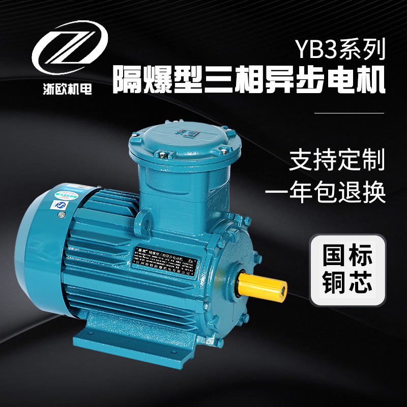 廠家批發(fā)4極立臥式防爆電機(jī)380V馬達(dá)國(guó)標(biāo)銅芯YB3三相異步電動(dòng)機(jī)