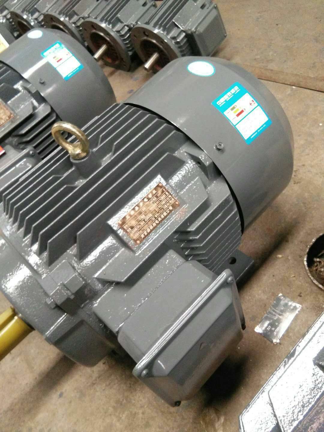 廠家優(yōu)質(zhì)供應(yīng)Y200L1-2 30KW 三相異步電動機(jī) B3 /B5/B35