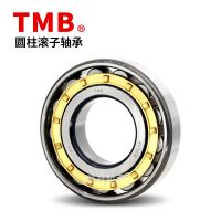 天馬圓柱滾子軸承N1010/N1011/N1012/N1013/N1014/N1015EM