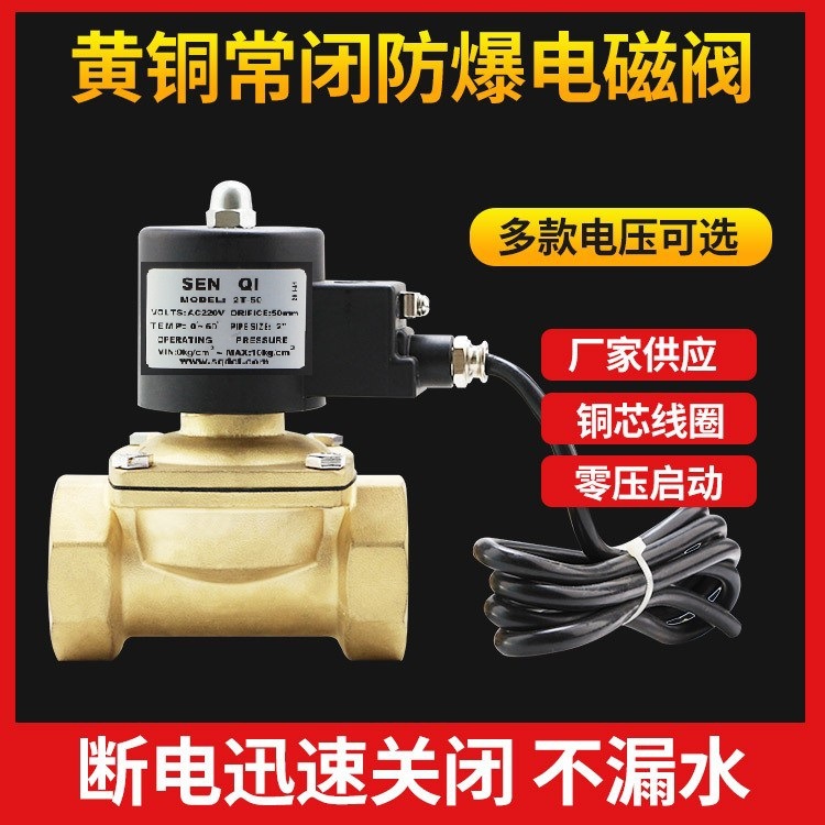 防爆電磁閥常閉 AC220V DC24V 氣動(dòng)閥 閥門黃銅不銹鋼開關(guān)控制閥