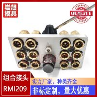 現(xiàn)貨供應(yīng)史陶比爾組合接頭RMI209.12.1810/JV 非標(biāo)定制快速接頭