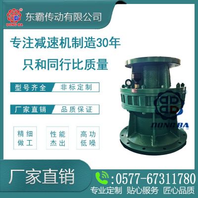 浙江實力工廠供應(yīng)擺線減速機 大扭矩噪音低 應(yīng)用于制藥設(shè)備紡織