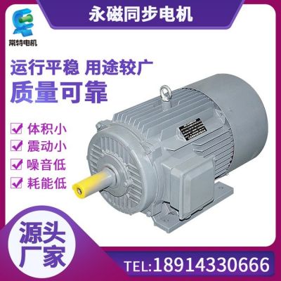 常特電機(jī) 永磁同步電機(jī)超節(jié)能三相異步電動(dòng)機(jī)YE3-200L-4 30KW