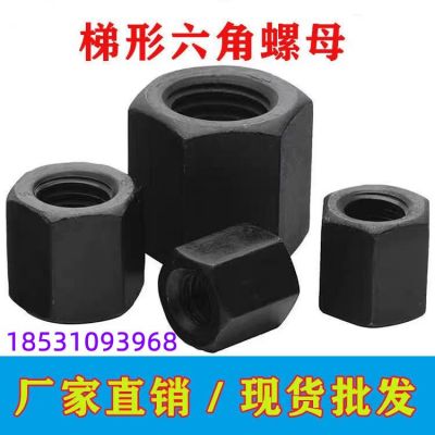 Tr12*3/14*3/16*4高強(qiáng)度梯形六角螺母/加長(zhǎng)加厚T型粗牙六方螺帽..