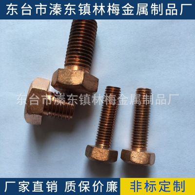 T2紫銅螺栓M12*16-100外六角，螺母，墊片，絲桿，內(nèi)六角，U型卡