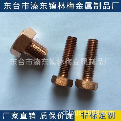 正宗T2紫銅外六角M12*16/20/25/30/35/40/80螺母墊片非標(biāo)定制