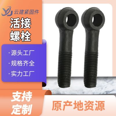 廠家直銷 高強度活接螺栓 調(diào)節(jié)螺栓 羊眼活節(jié)螺絲 魚眼活節(jié)螺絲