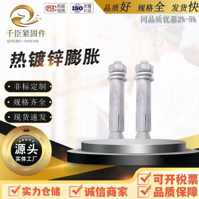 廠家 現(xiàn)貨 熱鍍鋅 膨脹螺栓 擊入式膨脹螺絲 膨脹栓 熱浸鋅 光伏