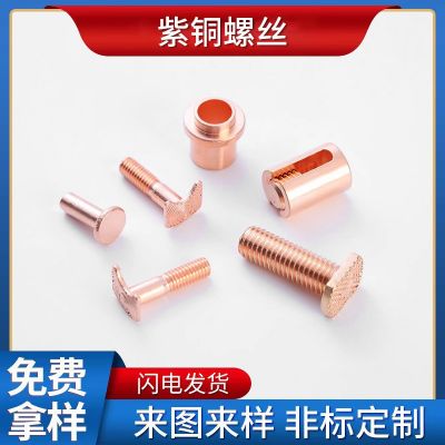 紫銅螺絲 紫銅螺母 紫銅螺栓 紫銅三組合 機(jī)械配件 標(biāo)準(zhǔn)件加工