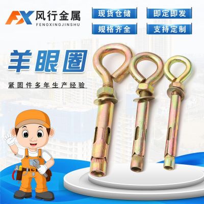 羊眼圈膨脹螺栓 O型拉爆內(nèi)膨脹螺絲 帶圈吊環(huán)燈勾 鍍彩膨脹管壁虎