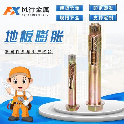 地板膨脹 六角內(nèi)膨脹螺栓 減速帶樓梯套管壁虎沉頭 彩鋅帶孔拉爆