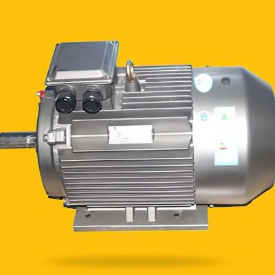 YE5系列三相異步電機(jī) 應(yīng)用廣泛 反饋良好 盛之豪出品