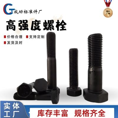 高強(qiáng)度螺絲 8.8級外六角螺栓 螺絲螺母12.9級外六角螺絲標(biāo)準(zhǔn)件m16