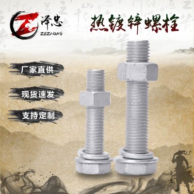 廠家供應(yīng) 熱鍍鋅螺栓螺絲熱滲鋅螺栓高強(qiáng)度4.8級(jí)熱鍍鋅外六角螺絲