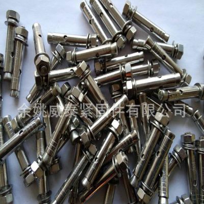 304不銹鋼拉爆螺絲內(nèi)膨脹螺栓無(wú)縫有縫膨脹螺絲M8X60M6X50M10X100