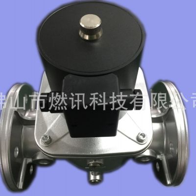 伊萊克斯燃?xì)怆姶砰yVMR6-2,VMR92,VMR82,VMR7,安全電磁閥DN100