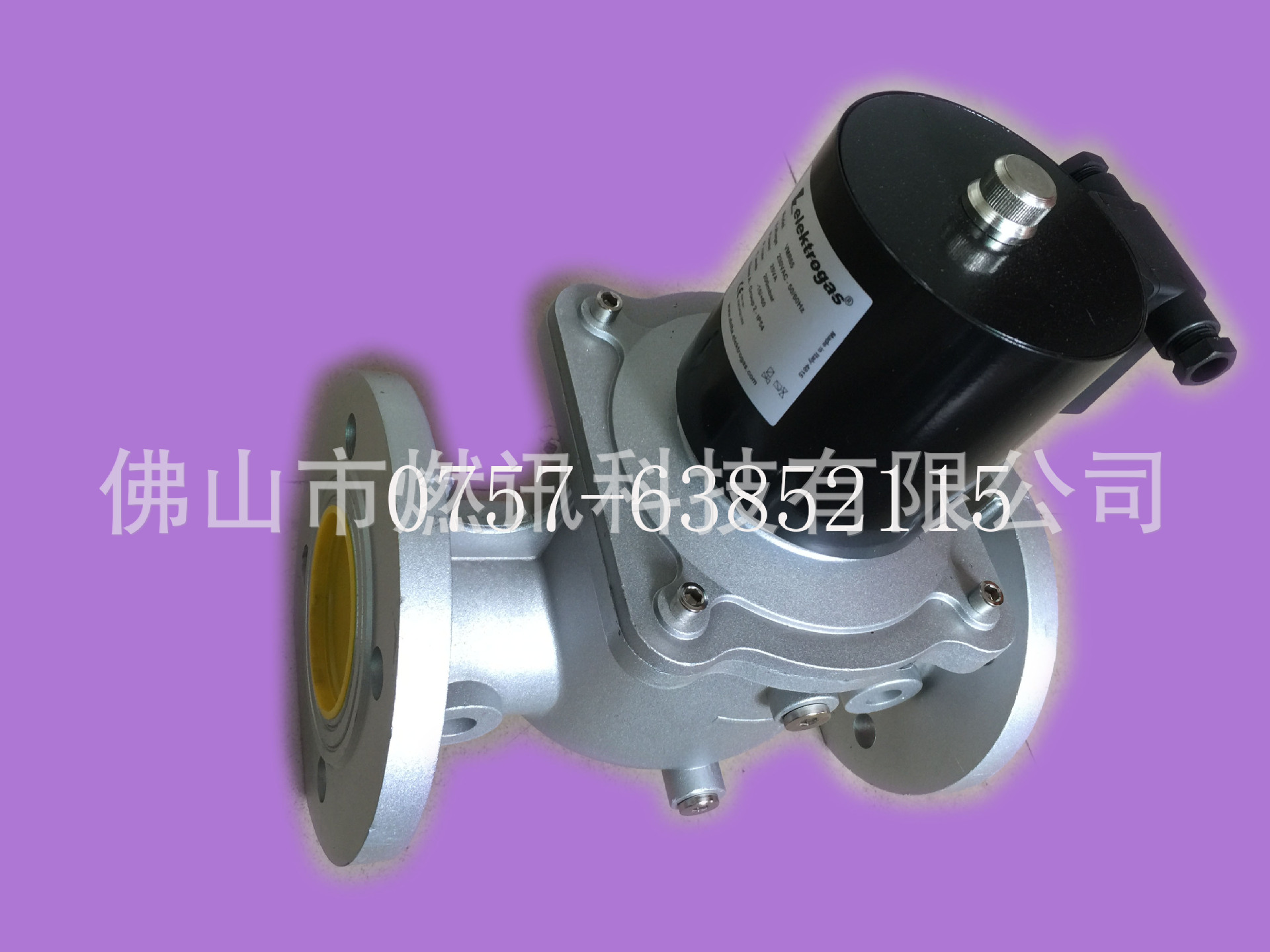 電磁閥DN65伊萊克斯