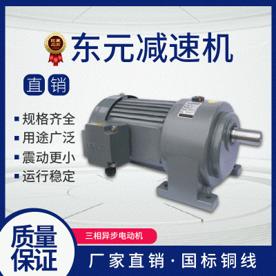 東元電機 TECO東元小R系列齒輪減速馬達 東元電動機 東元減速機