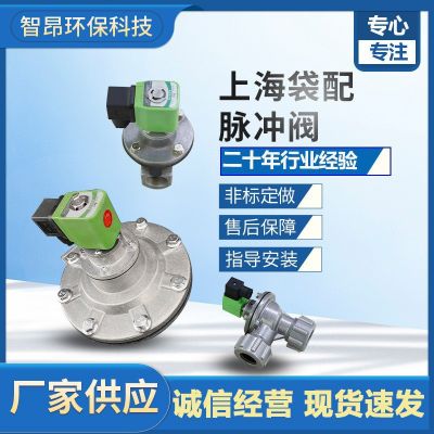 電磁脈沖閥DMF袋式噴吹直角式淹沒電磁閥布袋除塵脈沖控制器廠家