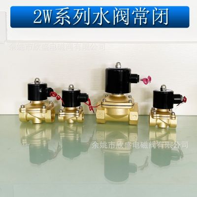 電磁閥常閉水閥氣閥全銅2分4分6分1寸2寸AC220V DC24V 廠家直銷