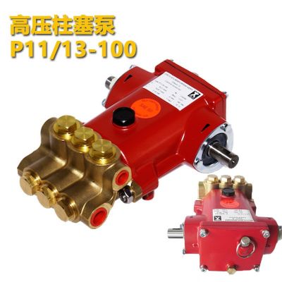 德國Speck斯貝克 高壓柱塞泵P11/13-100 P11系列高溫泵