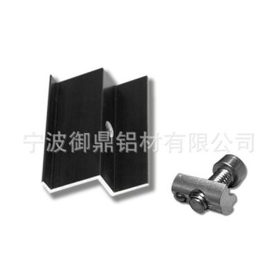 廠家供應(yīng)T型彈珠M8鋁螺母，歐標太陽能光伏安裝支架夾緊螺母