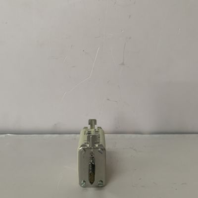 西門子 低壓電氣 3NE10210 3NE1021-0 SITOR 熔斷片