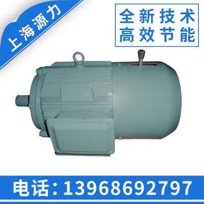 生產(chǎn)供應(yīng) YEJ-132M2-6三相異步電動(dòng)機(jī) 5.5KW電磁制動(dòng)電機(jī)