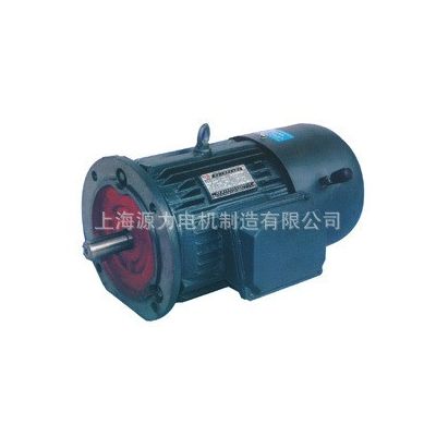 大量生產(chǎn)YEJ180L-4電磁制動(dòng)三相異步電動(dòng)機(jī)22KW電磁制動(dòng)電機(jī)