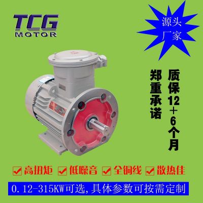 廠家直供YBX3防爆電機(jī)4極 三相隔爆型電動(dòng)機(jī) 11kw 塑料風(fēng)扇通風(fēng)