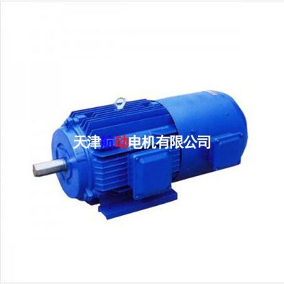 YZP 315L3-6/160KW起重及冶金用變頻調速三相異步電動機