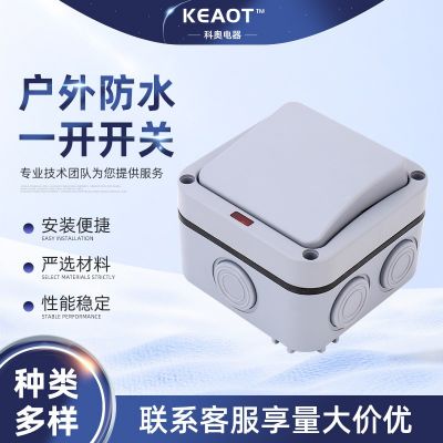 戶外防水開關(guān) 戶外防水一開開關(guān) 電源面板家用室外明裝防雨按鈕
