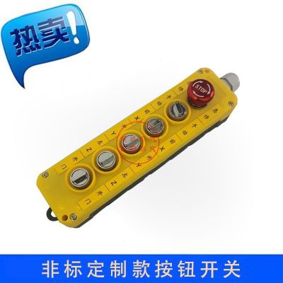 天車啟動(dòng)控器按鈕開關(guān) 電動(dòng)葫蘆手操器手電門遙