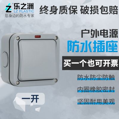 戶外20A歐規(guī)IP65公園泳池防暴雨防濺工業(yè)電源墻壁開關(guān)防水開關(guān)