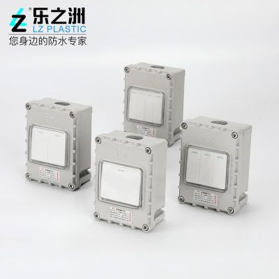 IP66化工礦區(qū)防暴雨防濺工業(yè)電源墻壁雙控開關(guān)戶外防水防爆開關(guān)